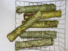 Eucalyptus Sage Bundle